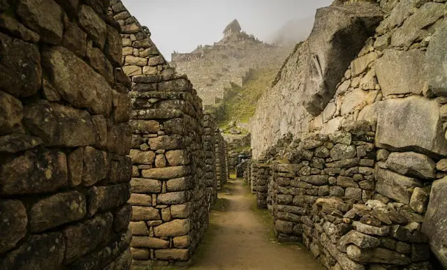 Peru National drink machupicchu
