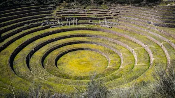 maras-moray