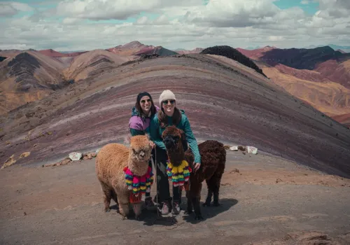 Travelers with alpacas at Palcoyo