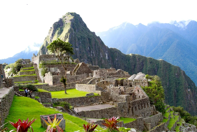 Flora and Fauna of Machu Picchu