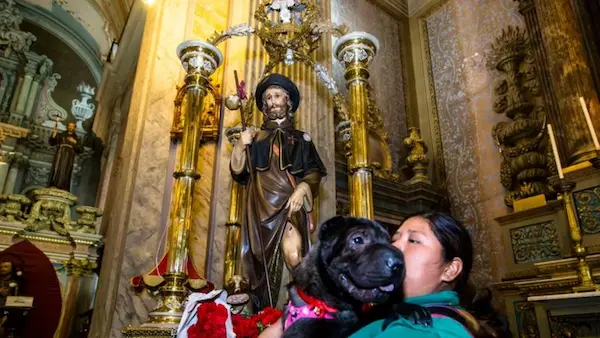 San Roque Festival with person