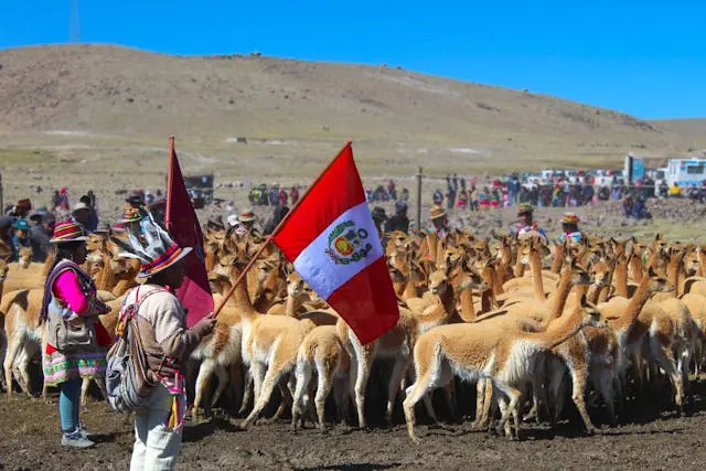 independence day in peru