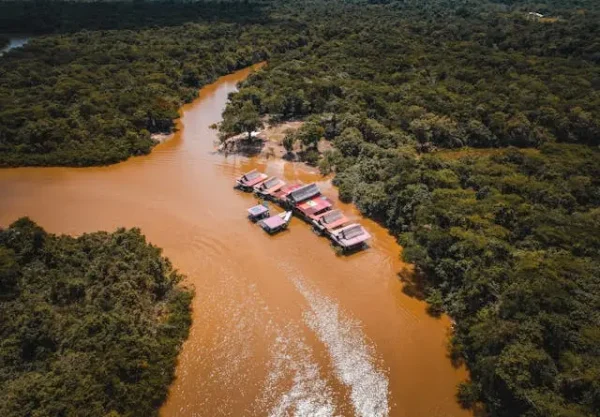 peruvian amazon