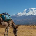 Huascarán, Peru's highest mountain