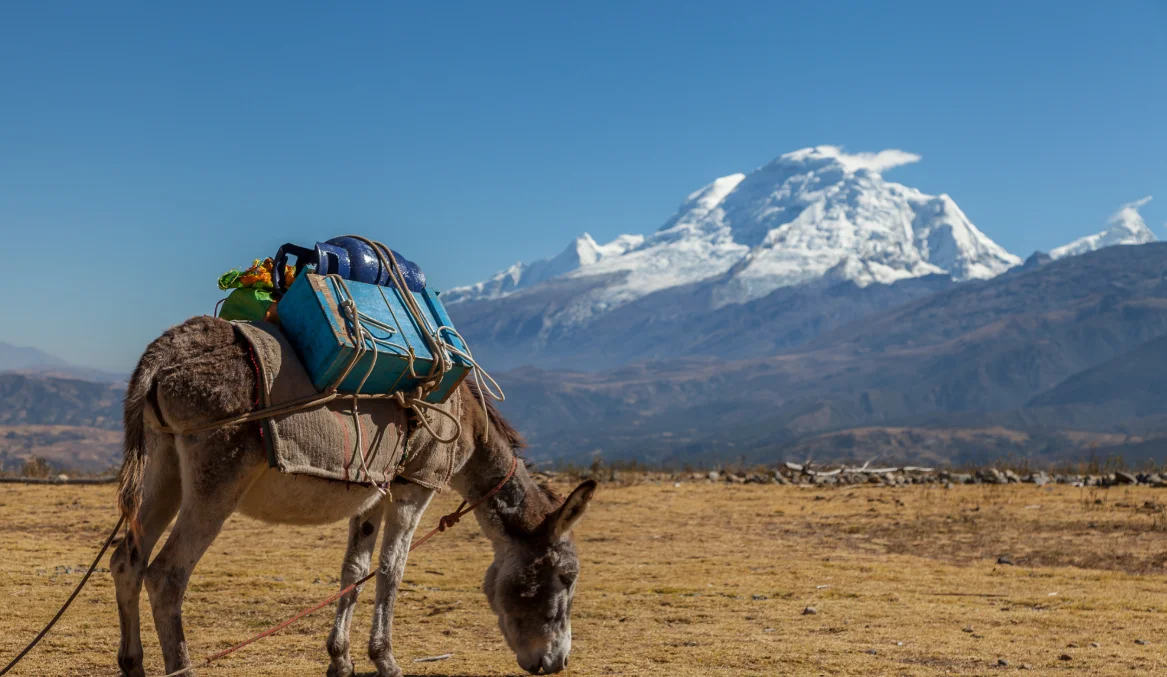 Huascarán, Peru's highest mountain